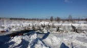 Винтовые сваи