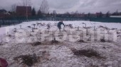 Винтовые сваи